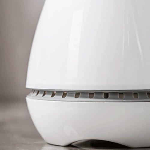 Floor-Standing Toilet Brush with Base and Holder