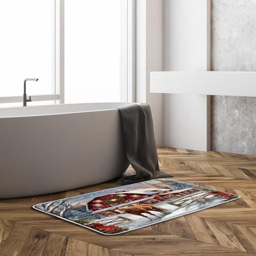 GCTNBJL Christmas Bath Mat 16x24 Inch