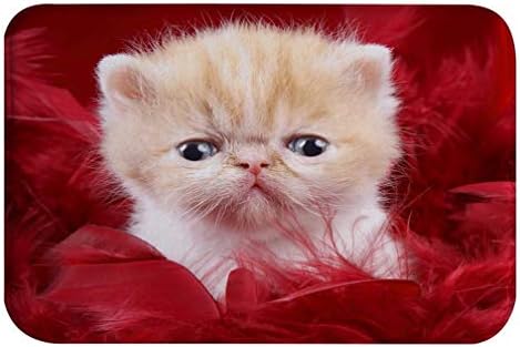 AMonamour Cute Kitten Bath Mat with Red Feathers Design