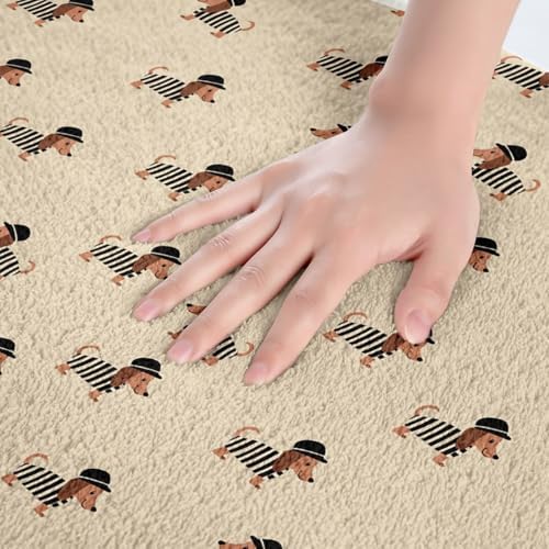 Jejeloiu Dachshund Zebra Bath Rug 16x24 Inch