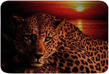 HSTDUNYE Moon Cheetah Area Rug 16x24 Inch