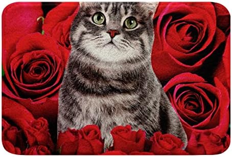 HSTDUNYE Cat Area Rug Red Rose Bath Mat 16x24