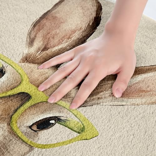 Jejeloiu Cute Bunny Bath Mats 16x24 inch