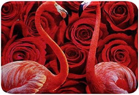 HSTDUNYE Flamingo Area Rug 16x24 Non-Slip Bath Mat
