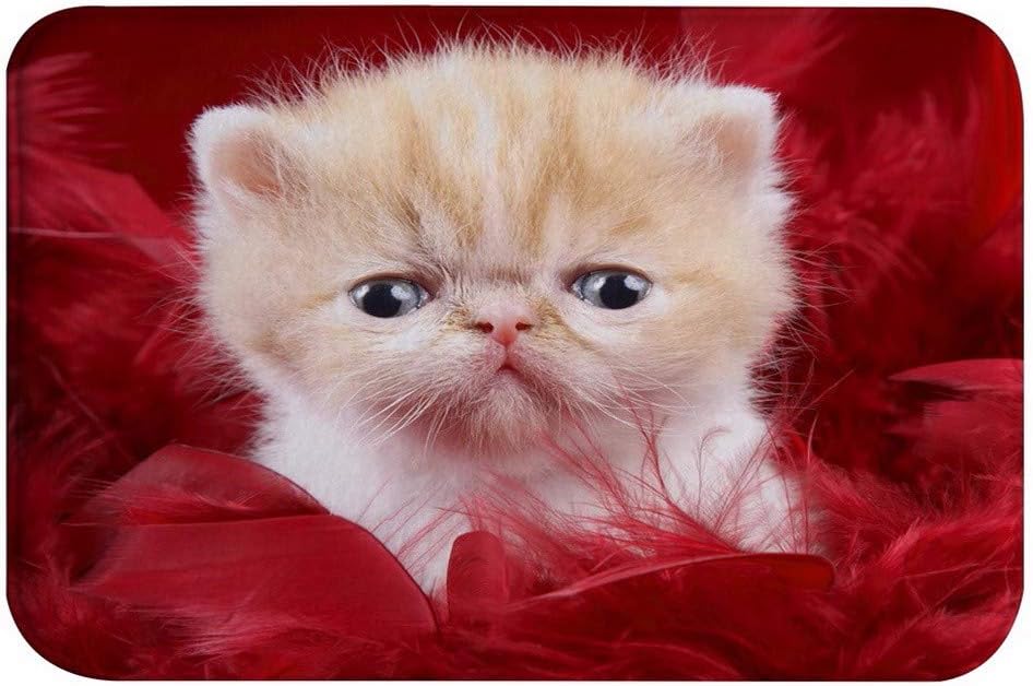 AMonamour Cute Kitten Bath Mat with Red Feathers Design