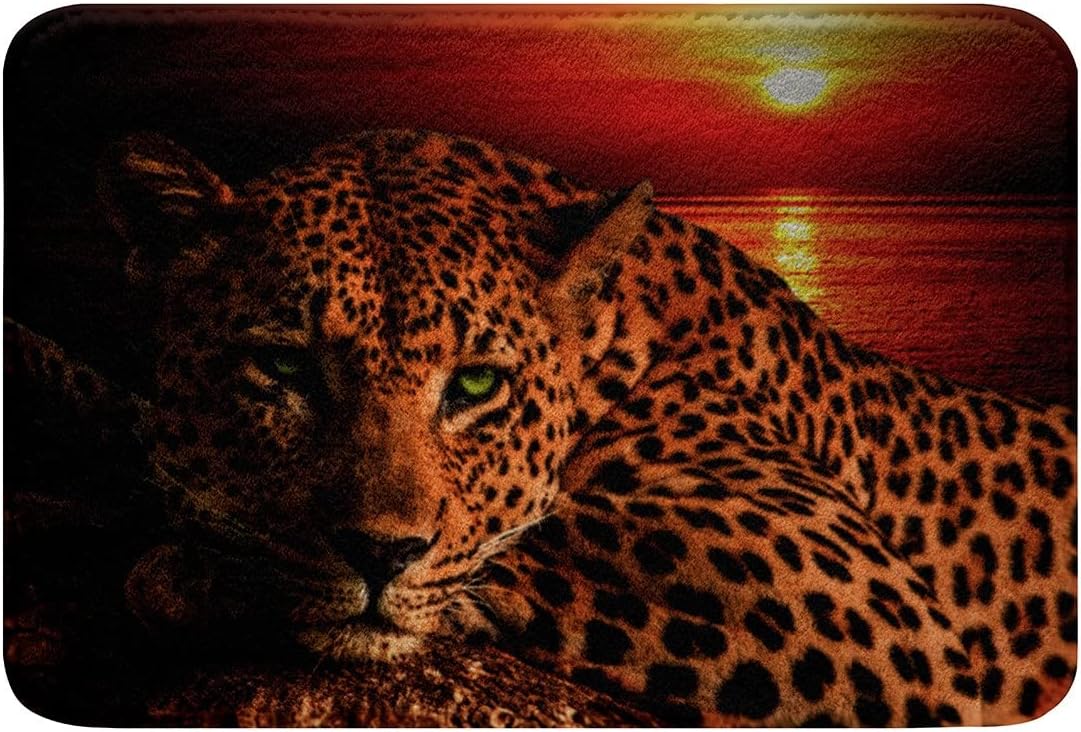 HSTDUNYE Moon Cheetah Area Rug 16x24 Inch